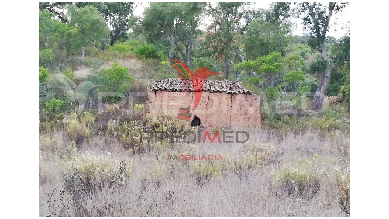 Quinta para Venda em São Bartolomeu de Messines Foto 2