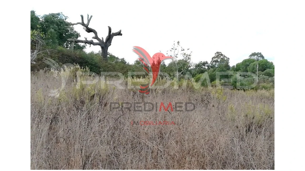 Quinta para Venda em São Bartolomeu de Messines Foto 4