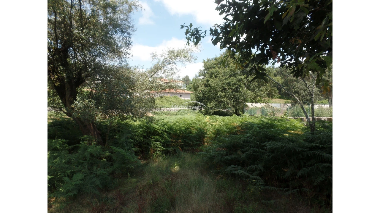 Terreno para Venda em Esmeriz e Cabeçudos Foto 9