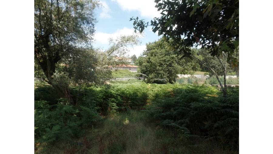 Terreno para Venda em Esmeriz e Cabeçudos Foto 9