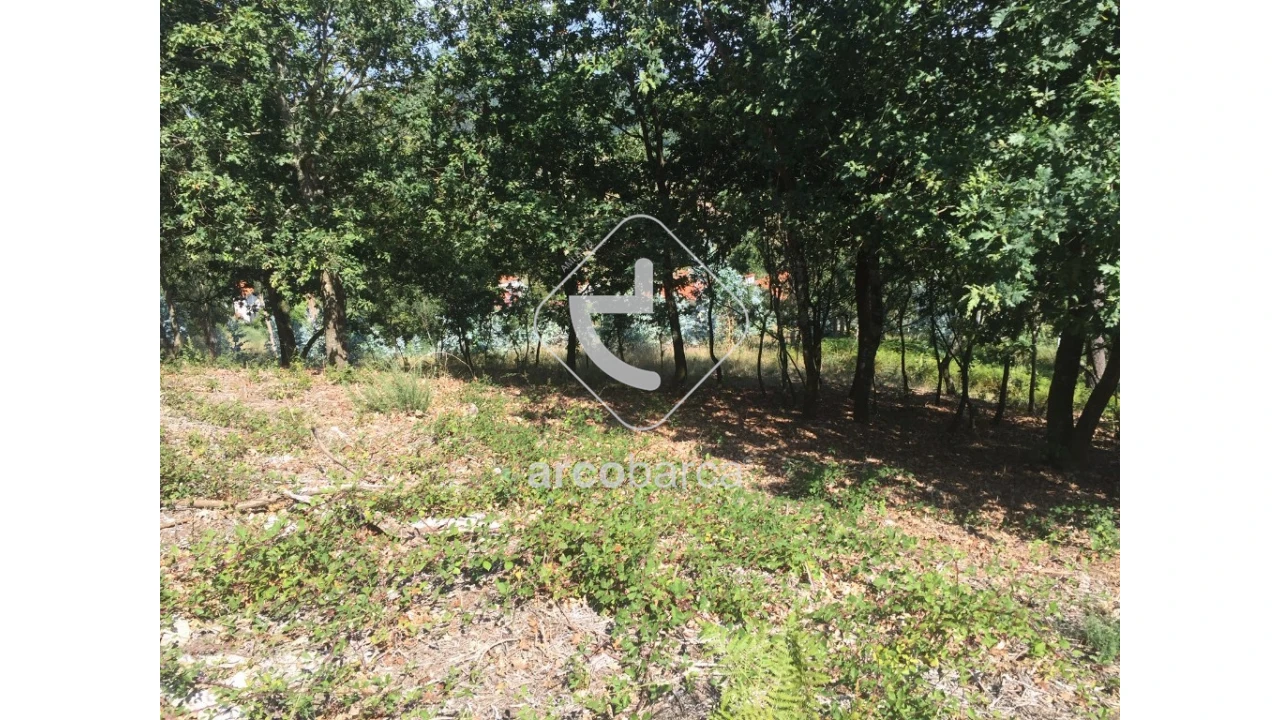 Terreno para Venda em Rio Frio Foto 2