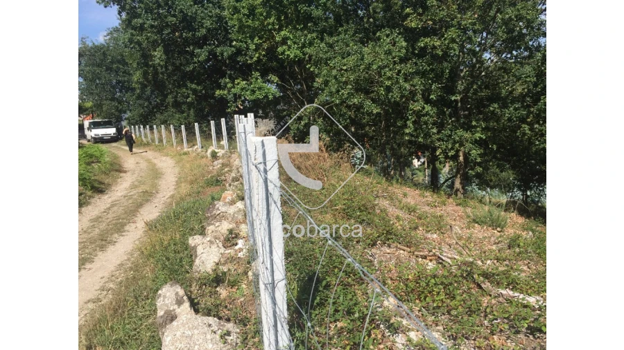 Terreno para Venda em Rio Frio Foto 4