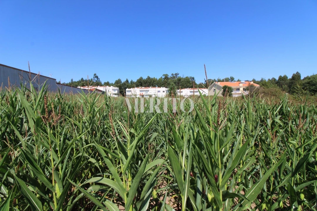 Terreno para Venda em Malta e Canidelo Foto 6