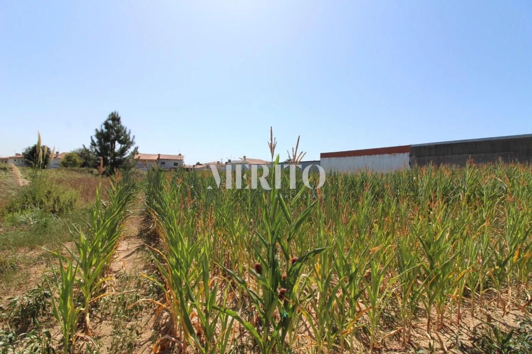 Terreno para Venda em Malta e Canidelo Foto 4