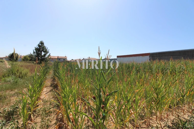 Terreno para Venda em Malta e Canidelo Foto 4