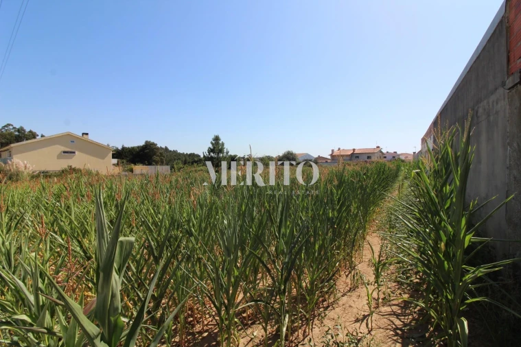 Terreno para Venda em Malta e Canidelo Foto 2