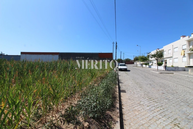 Terreno para Venda em Malta e Canidelo Foto 5