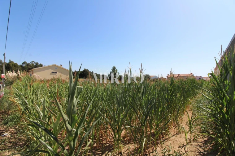 Terreno para Venda em Malta e Canidelo Foto 1