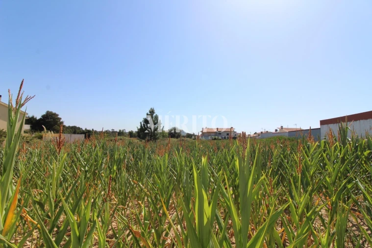 Terreno para Venda em Malta e Canidelo Foto 3