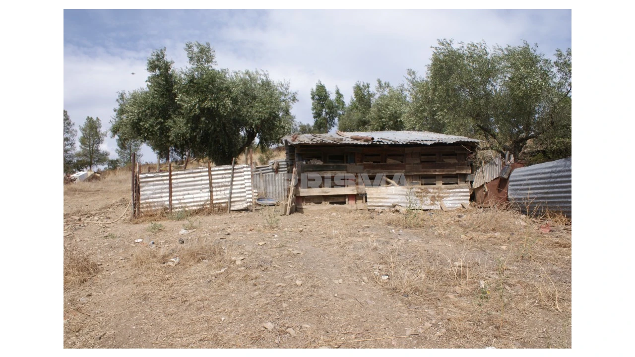 Terreno para Venda em Santana Foto 9