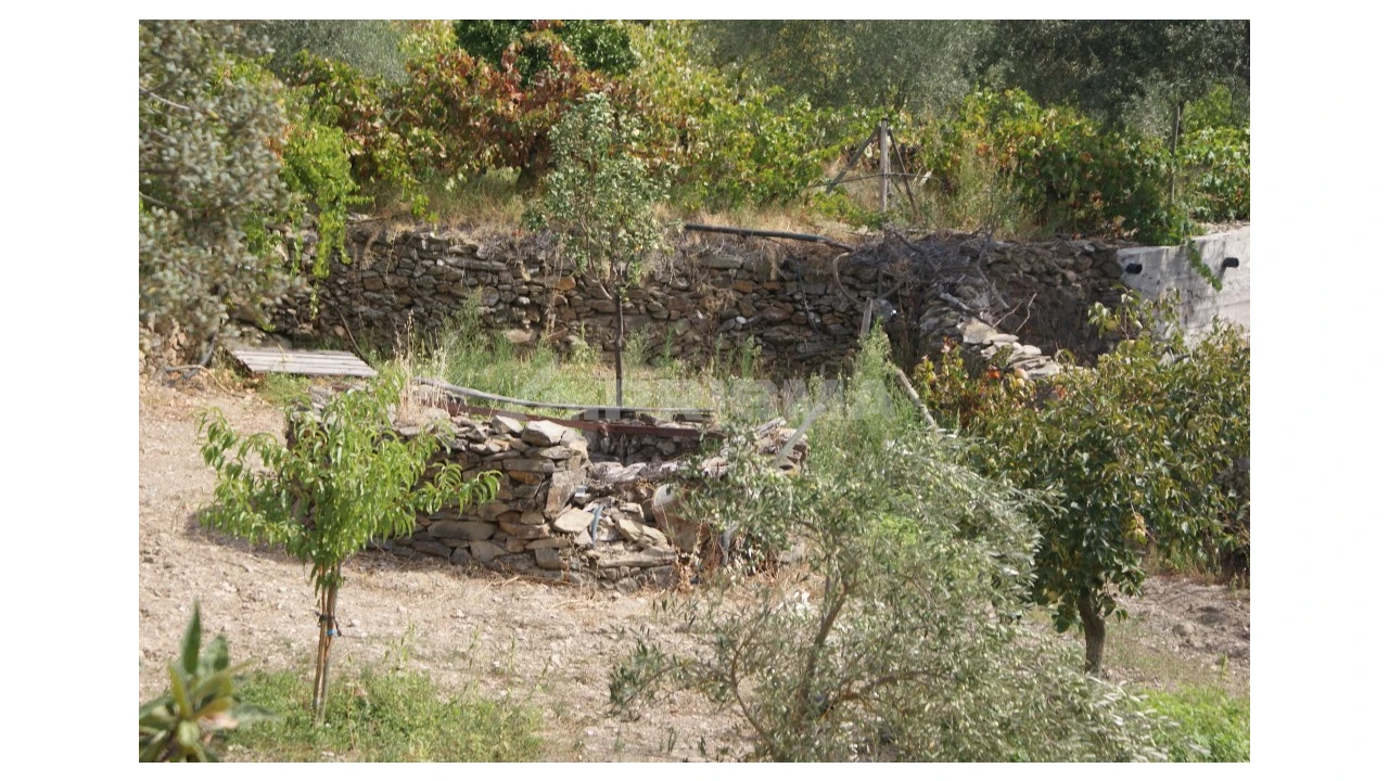 Terreno para Venda em Santana Foto 4