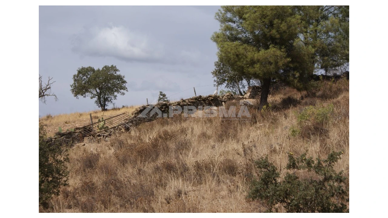 Terreno para Venda em Santana Foto 10