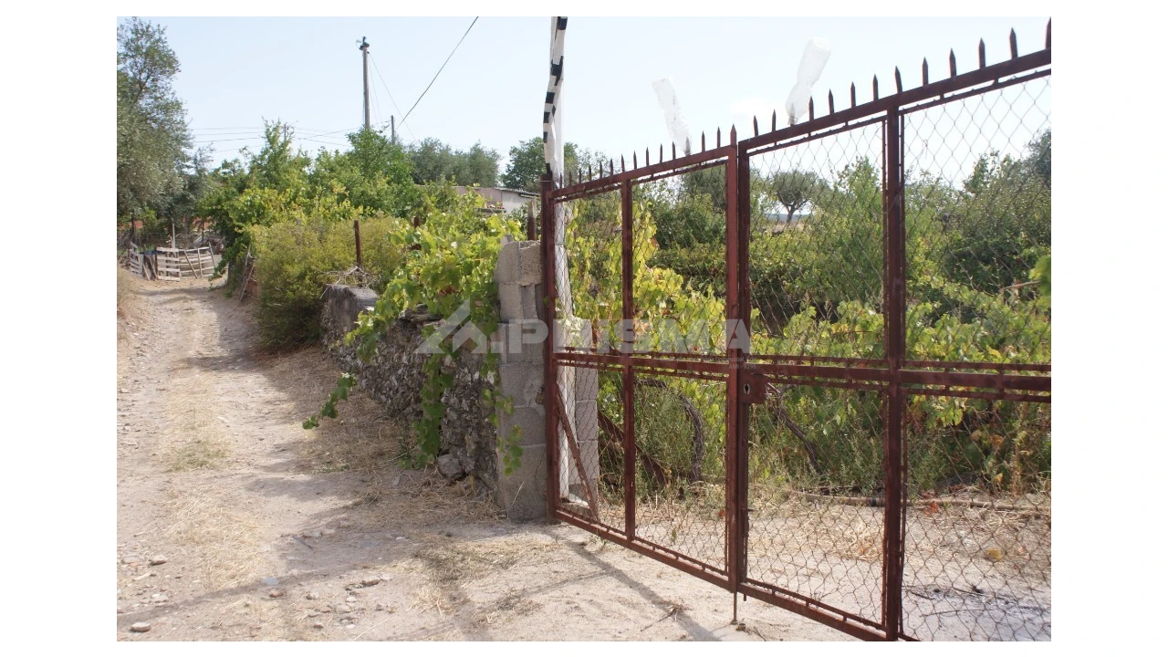 Terreno para Venda em Santana Foto 6