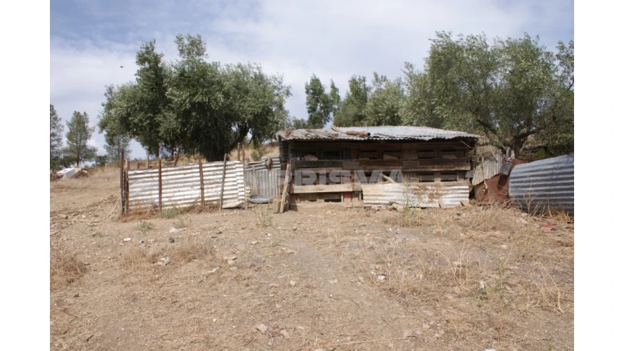 Terreno para Venda em Santana Foto 9