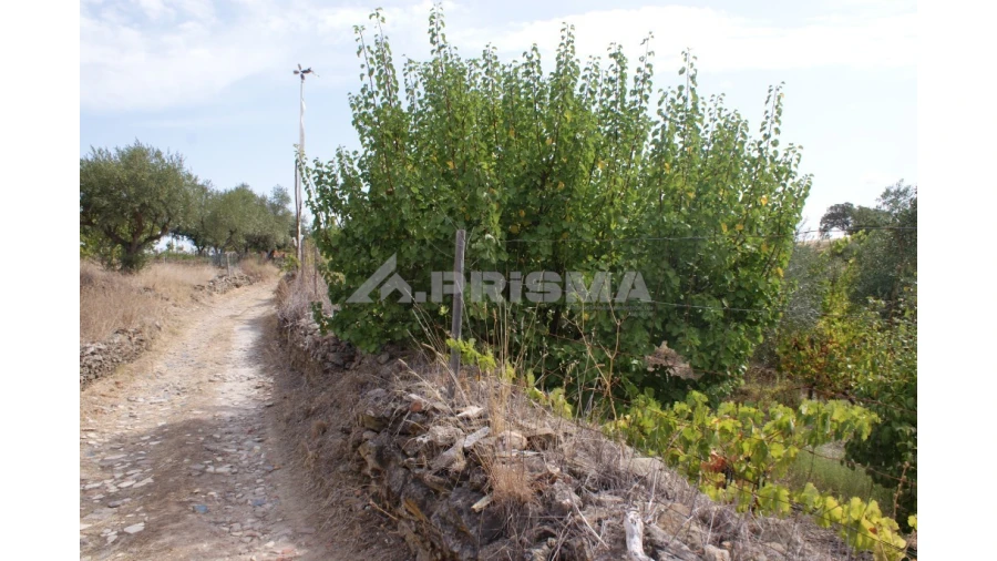 Terreno para Venda em Santana Foto 8