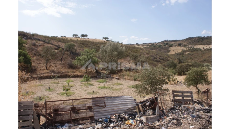 Terreno para Venda em Santana Foto 11