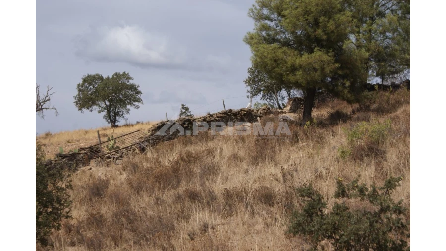 Terreno para Venda em Santana Foto 10