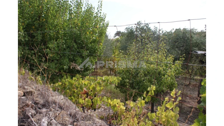 Terreno para Venda em Santana Foto 7