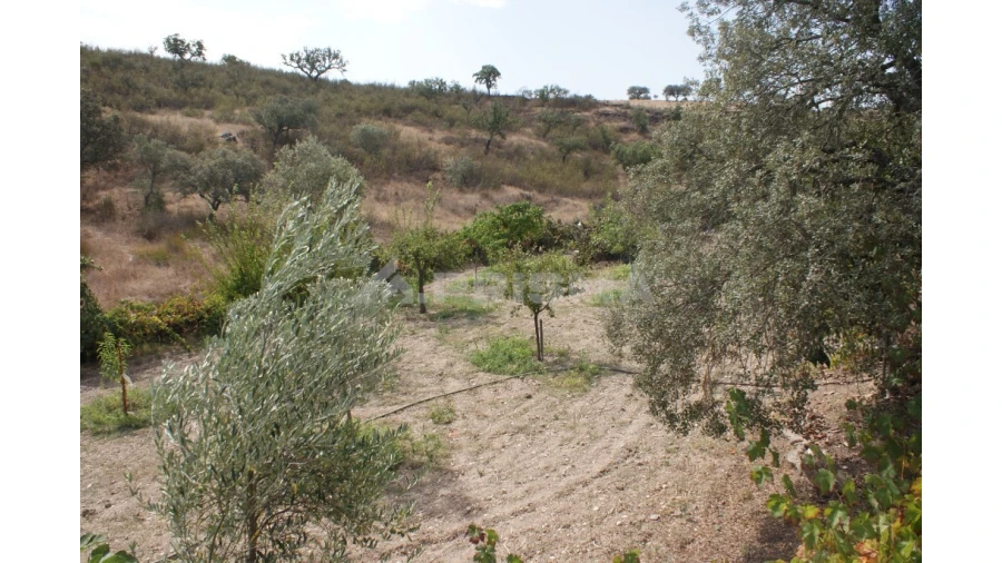Terreno para Venda em Santana Foto 2