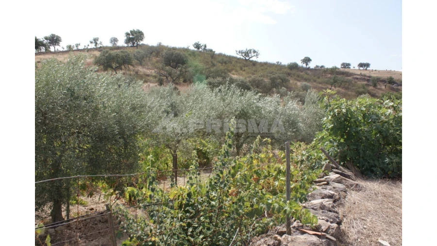Terreno para Venda em Santana Foto 3