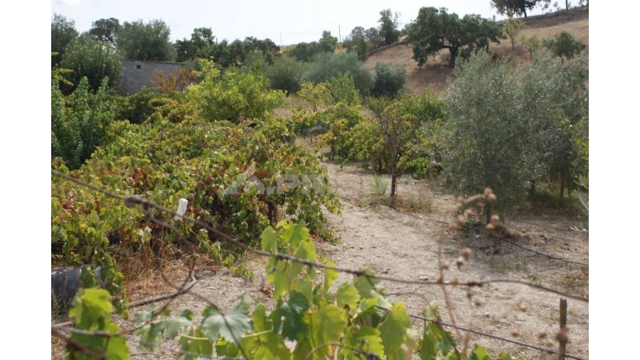Terreno para Venda em Santana Foto 5