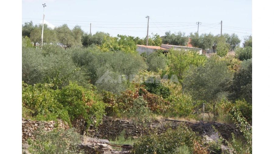 Terreno para Venda em Santana Foto 12