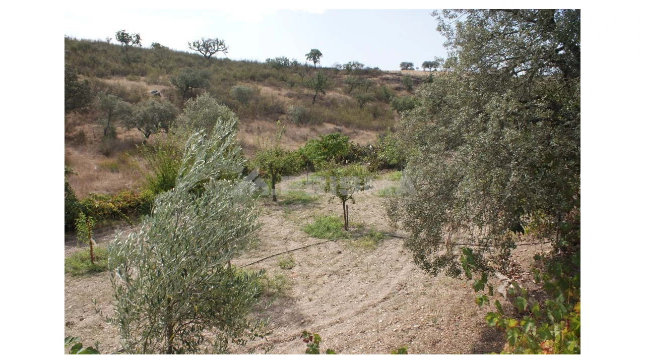 Terreno para Venda em Santana Foto 2