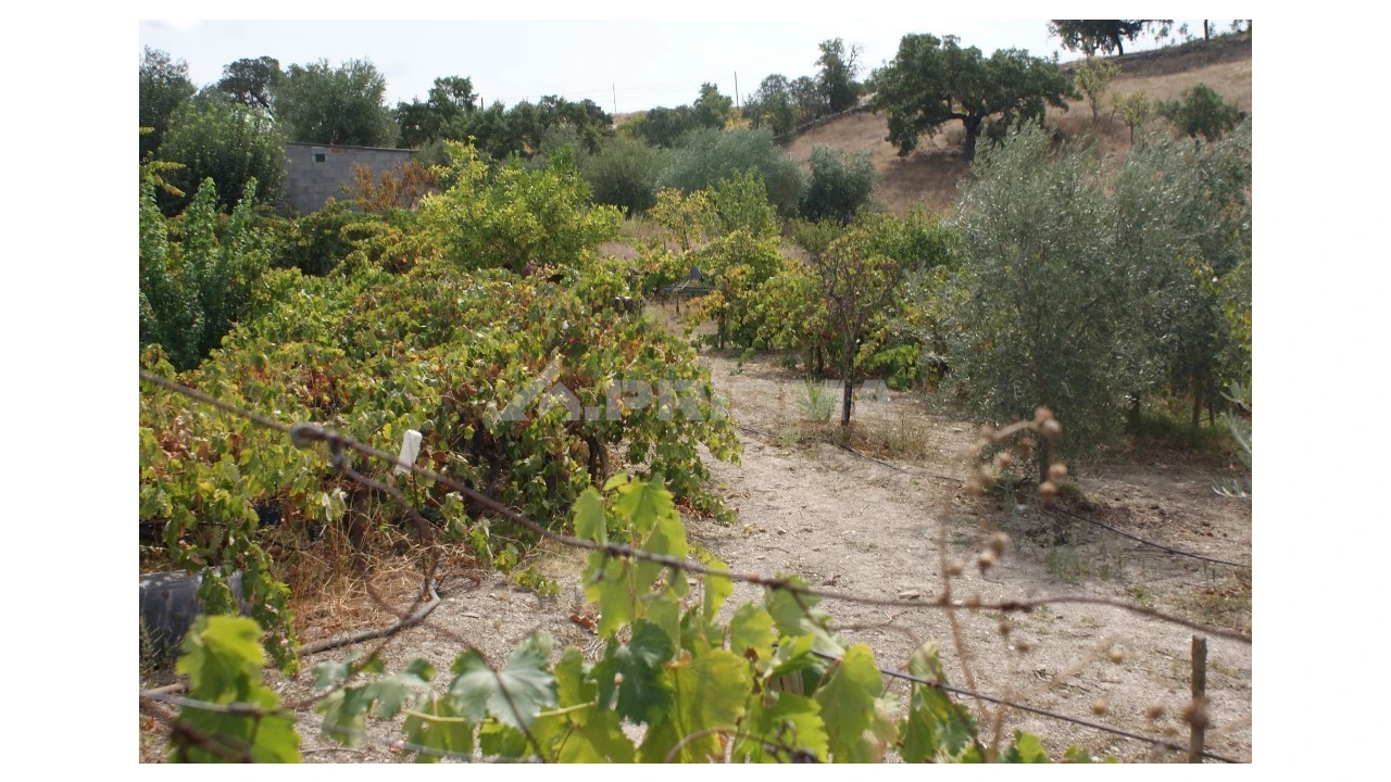 Terreno para Venda em Santana Foto 5