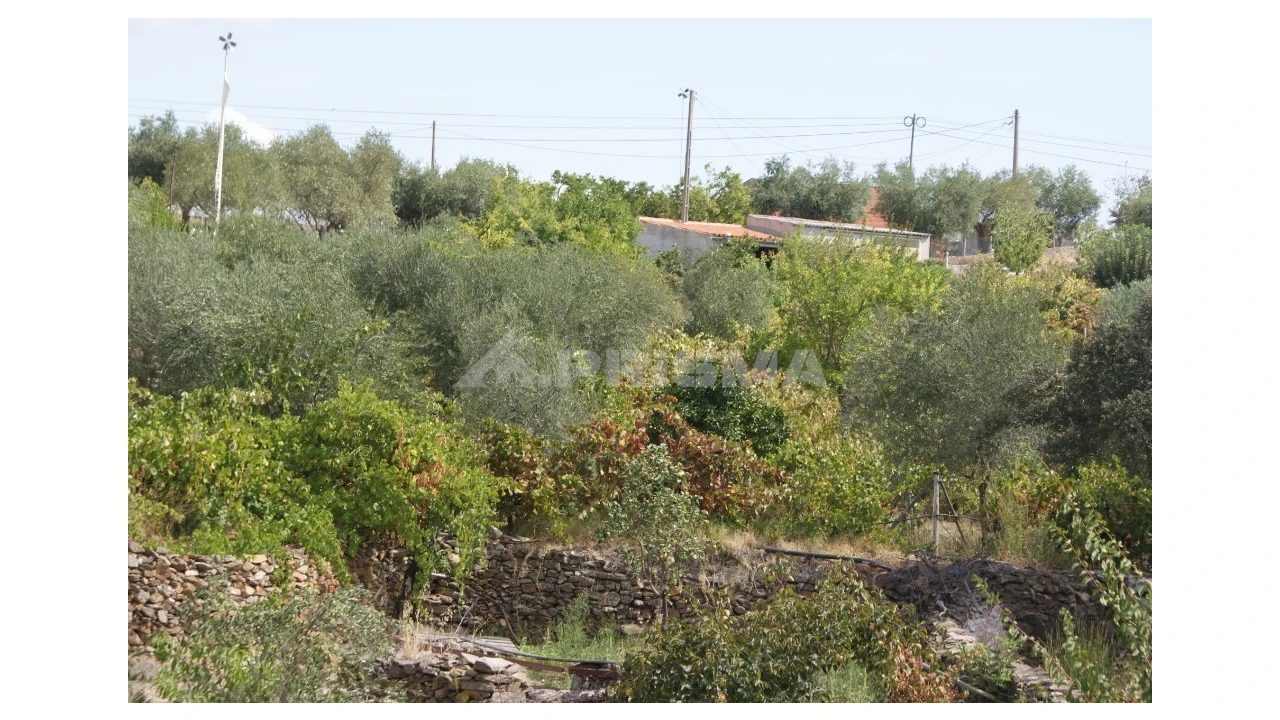 Terreno para Venda em Santana Foto 12