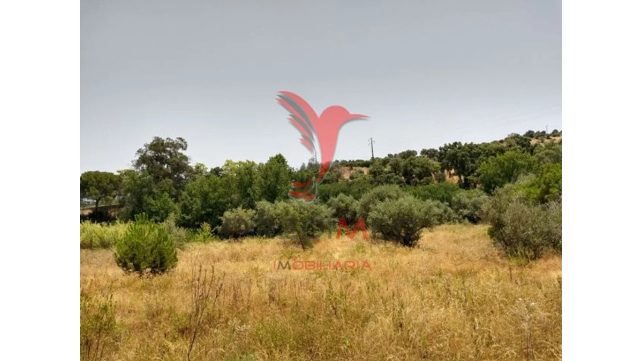 Terreno para Venda em Montargil Foto 6