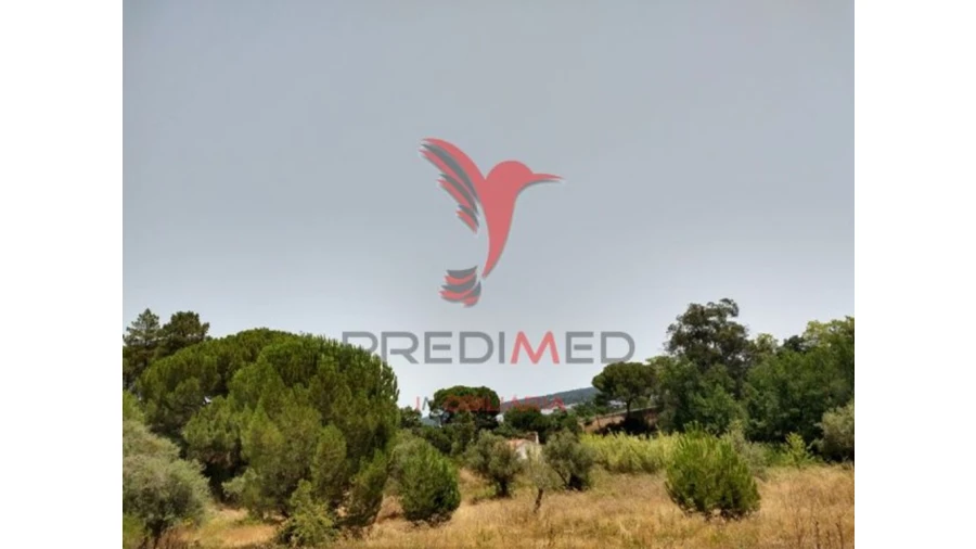 Terreno para Venda em Montargil Foto 4