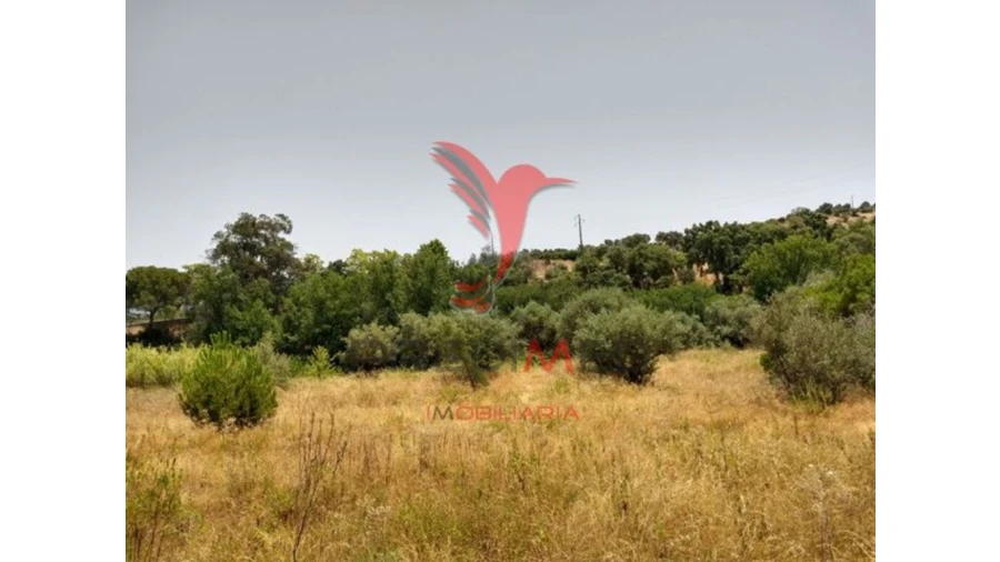 Terreno para Venda em Montargil Foto 6