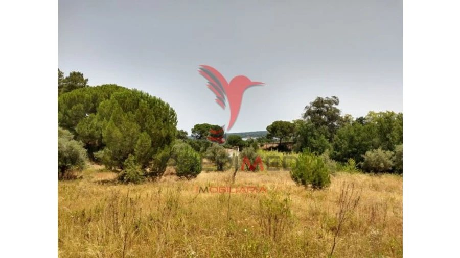 Terreno para Venda em Montargil Foto 3