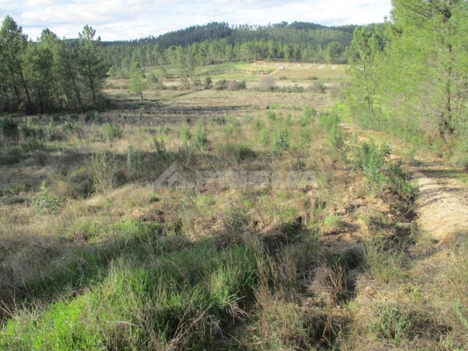 Terreno para Venda em Sarzedas Foto 1