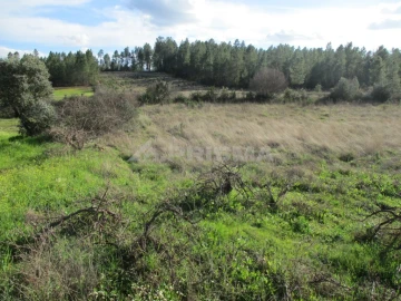 Terreno para Venda em Sarzedas