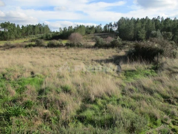 Terreno para Venda em Sarzedas