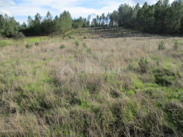 Terreno para Venda em Sarzedas