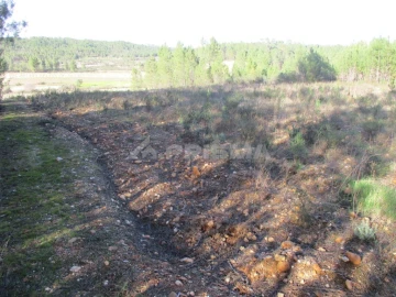Terreno para Venda em Sarzedas