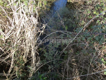 Terreno para Venda em Sarzedas