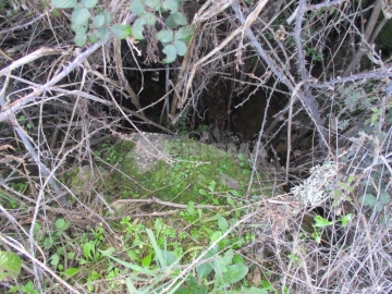Terreno para Venda em Sarzedas