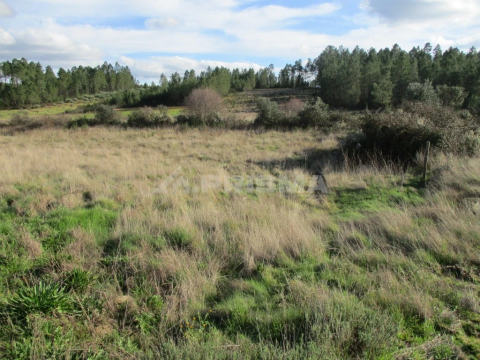 Terreno para Venda em Sarzedas Foto 11