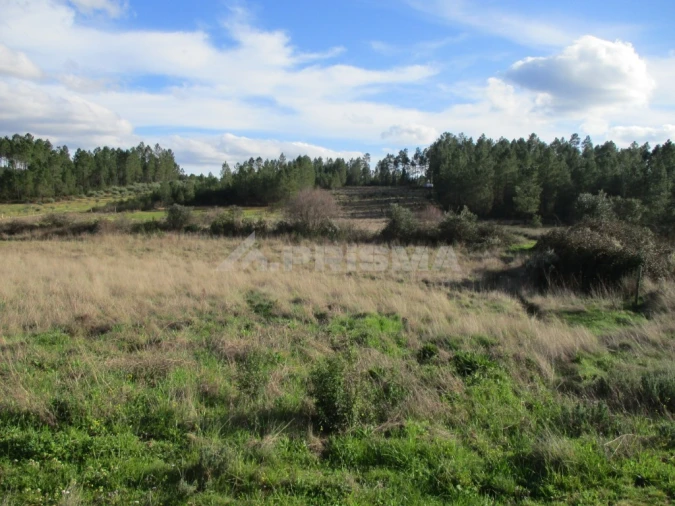 Terreno para Venda em Sarzedas Foto 8
