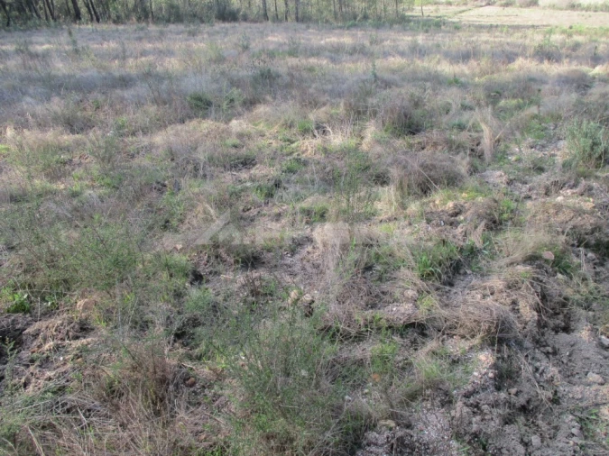 Terreno para Venda em Sarzedas Foto 3