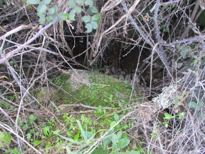 Terreno para Venda em Sarzedas Foto 7