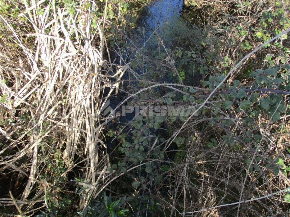 Terreno para Venda em Sarzedas Foto 6