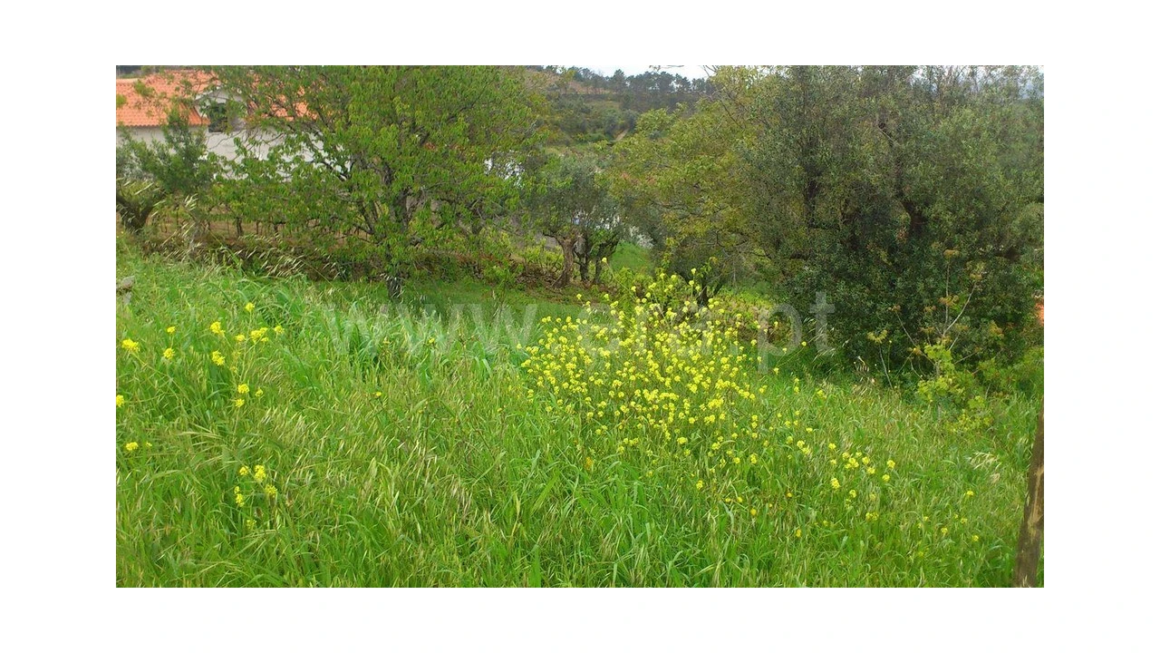 Terreno para Venda em Eiras e São Paulo de Frades Foto 1