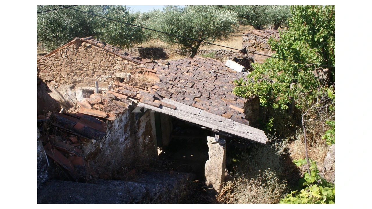 Terreno para Venda em Freixial e Juncal do Campo Foto 22