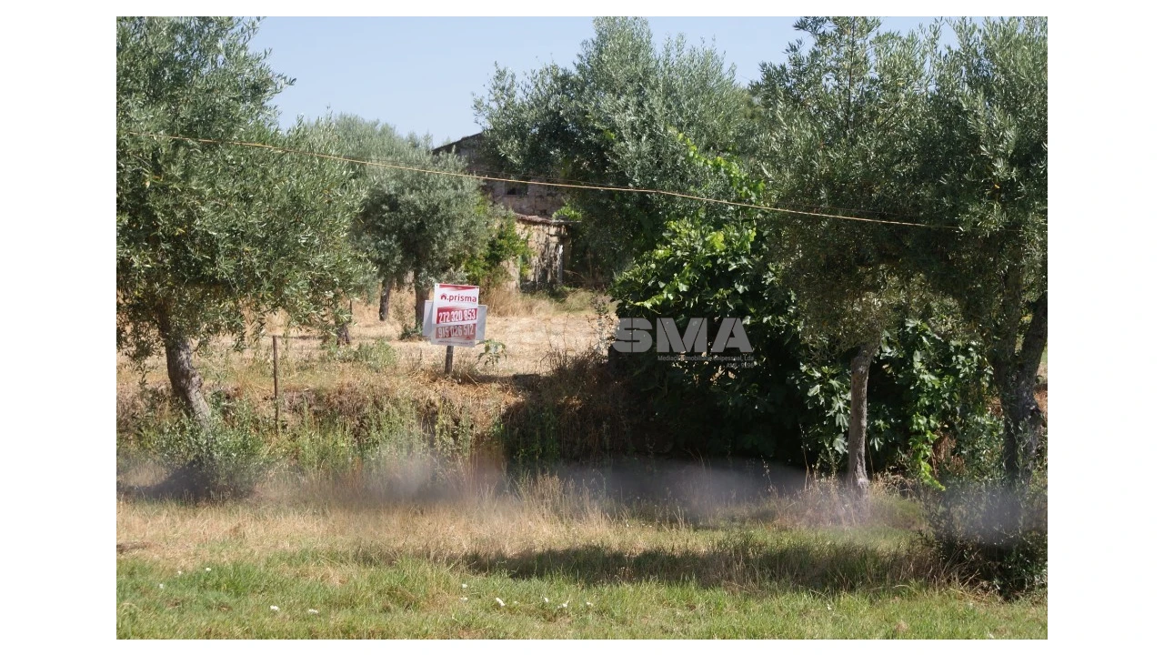 Terreno para Venda em Freixial e Juncal do Campo Foto 1