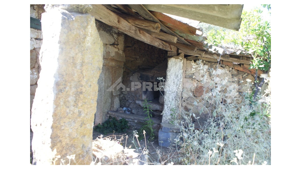 Terreno para Venda em Freixial e Juncal do Campo Foto 14