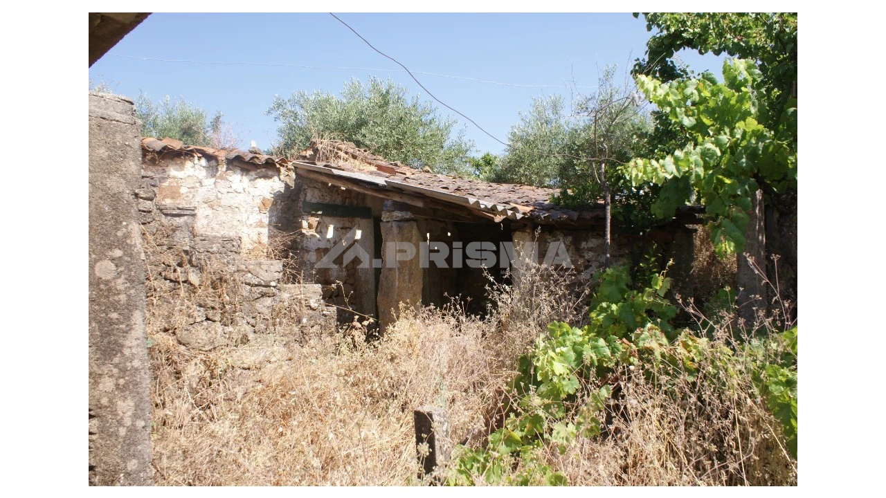 Terreno para Venda em Freixial e Juncal do Campo Foto 11
